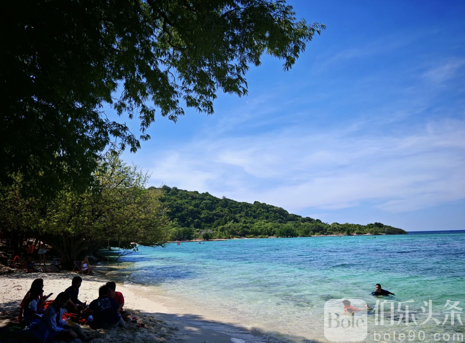 截屏2026-01-26 12.37.31.png