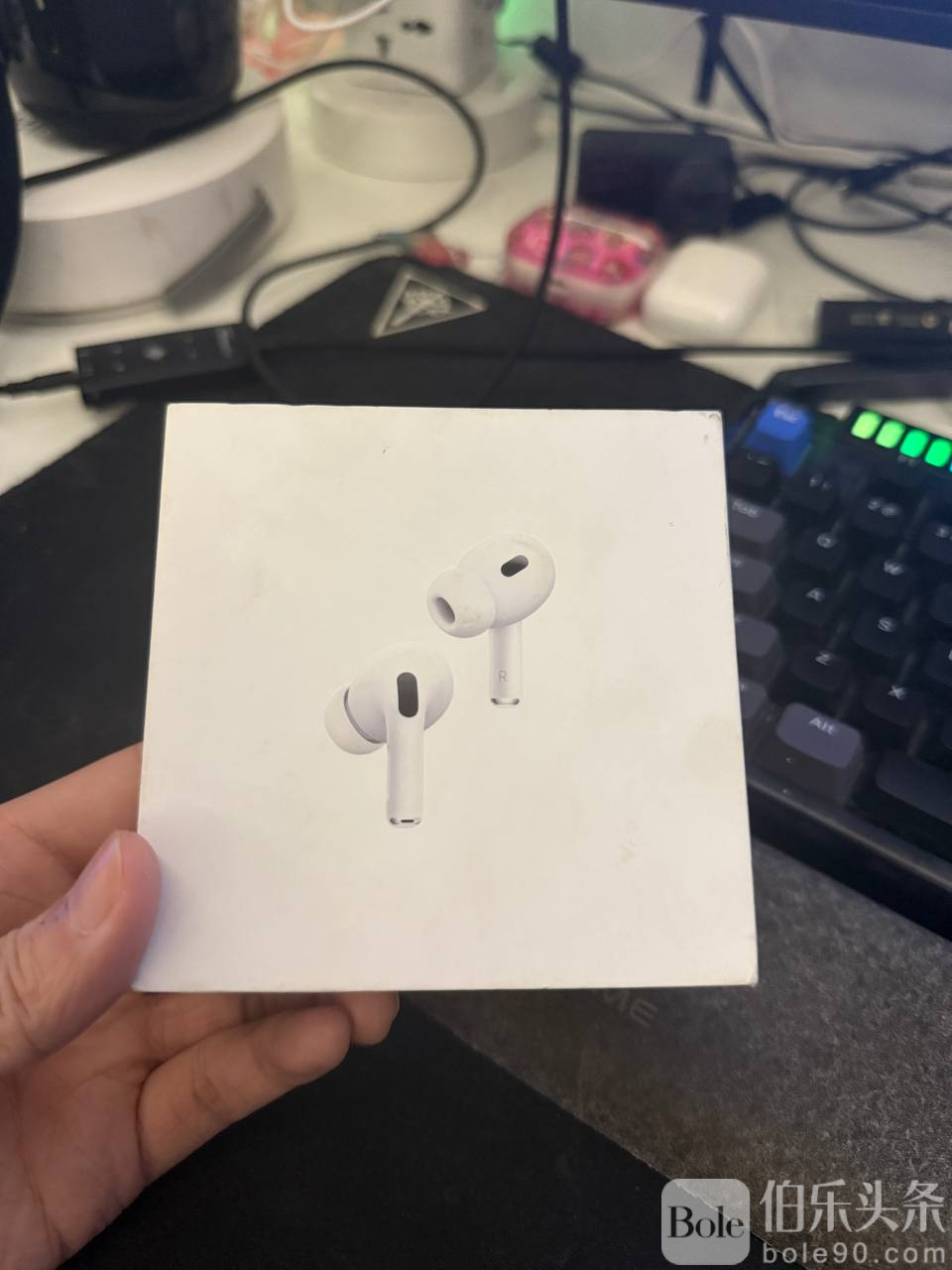 photo_2026-01-28 17.31.09.jpeg