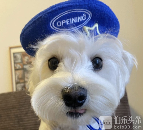 图像2026-2-2 12.24.jpeg