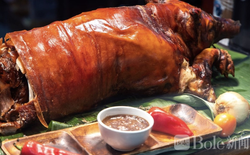 图像2026-2-5 13.57.jpeg