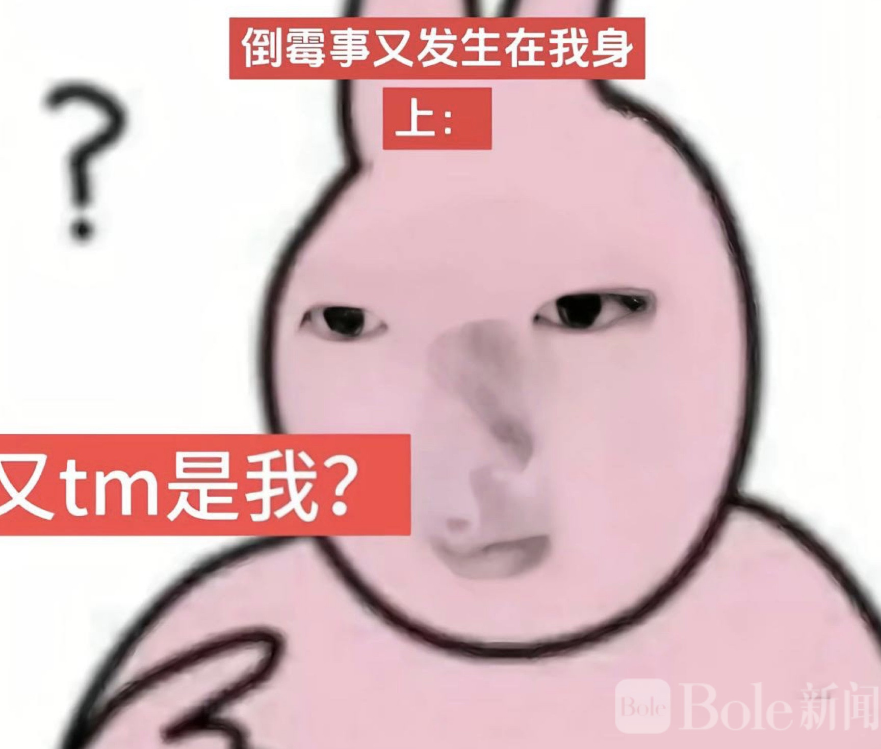 图像2026-2-6 12.37.jpeg