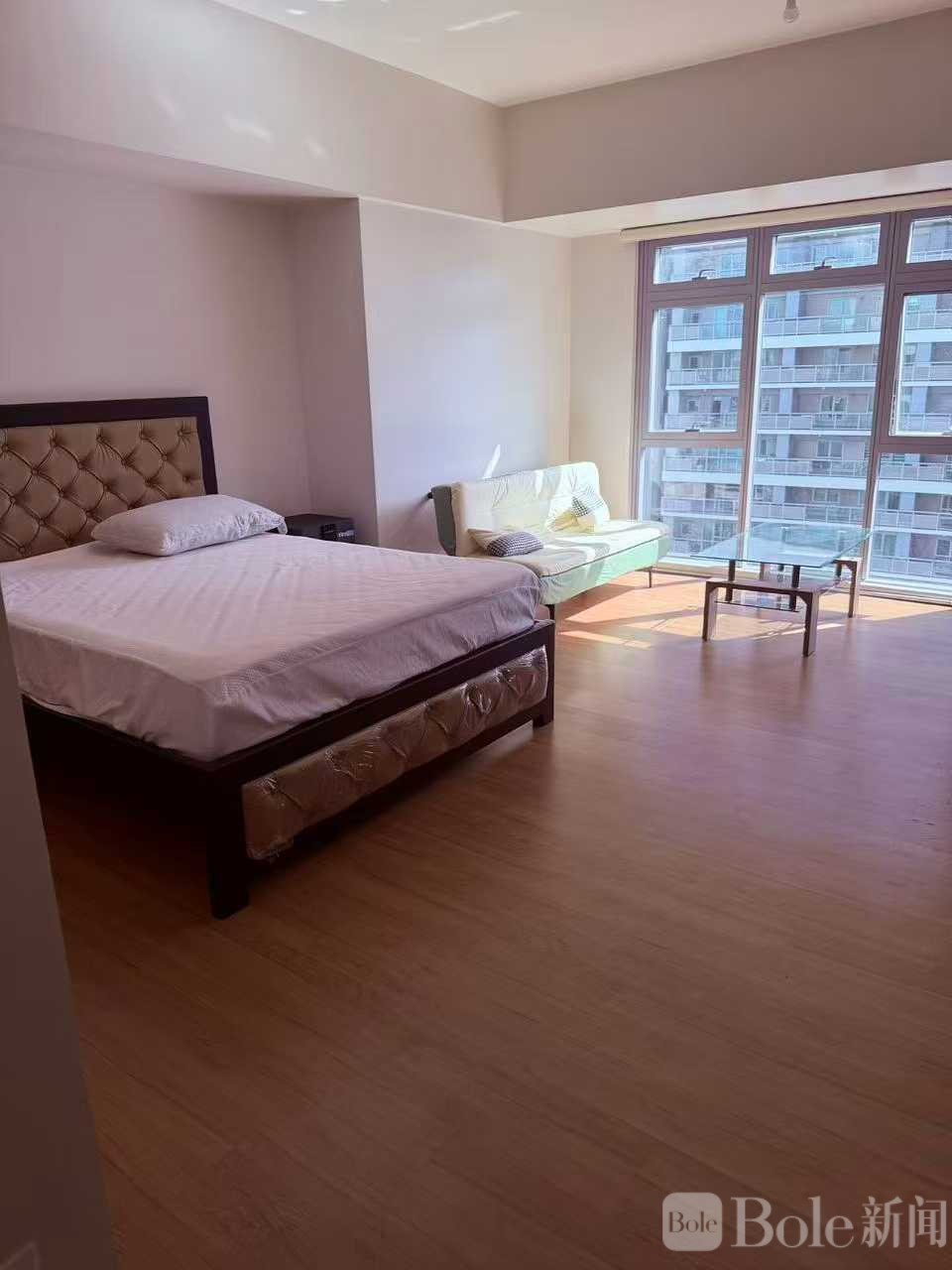 photo_2026-02-15 19.55.13.jpeg