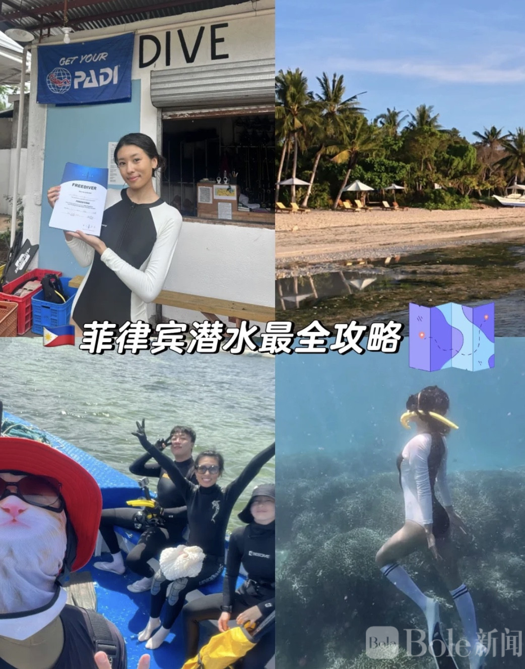 图像2026-2-17 13.55.jpeg