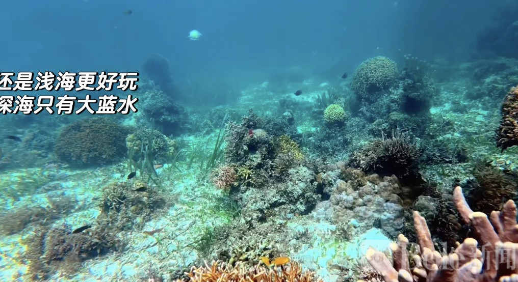 图像2026-2-17 13.56 (2).jpeg