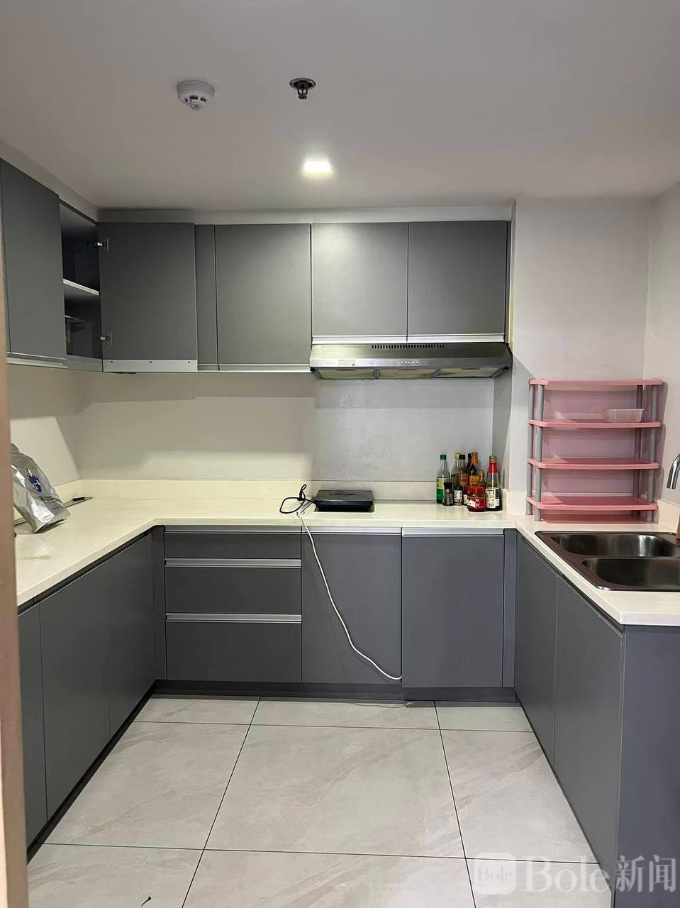 photo_2026-02-19 14.14.03.jpeg