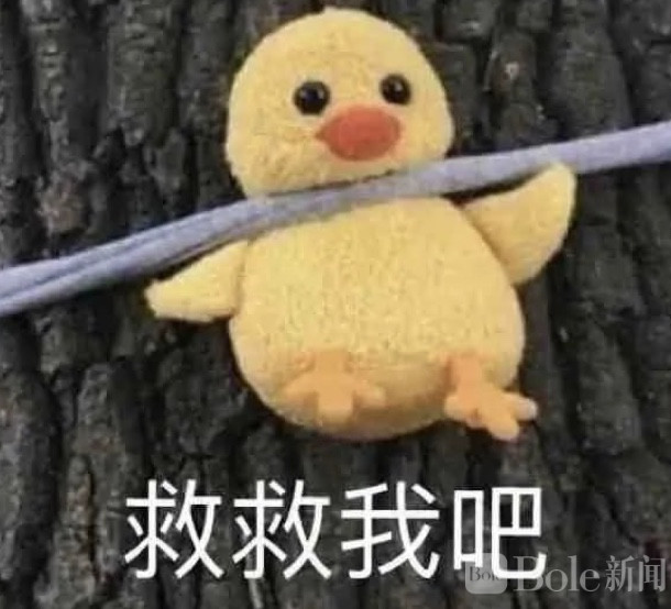 图像2026-3-2 12.11.jpeg