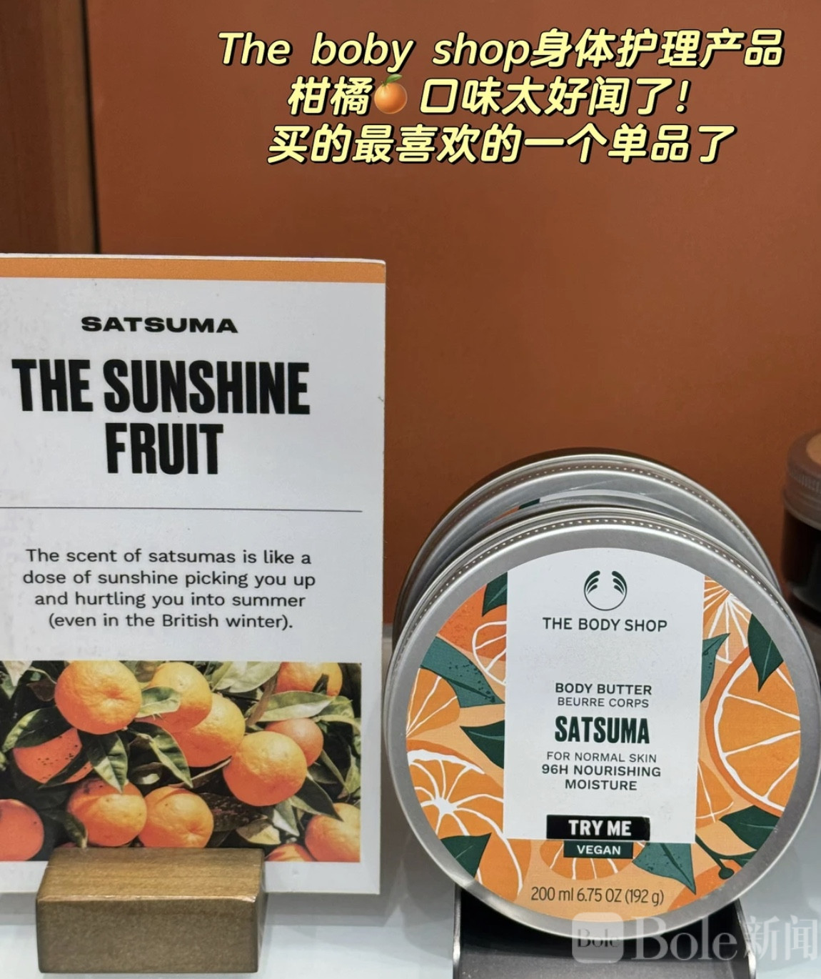 图像2026-3-16 12.17.jpeg