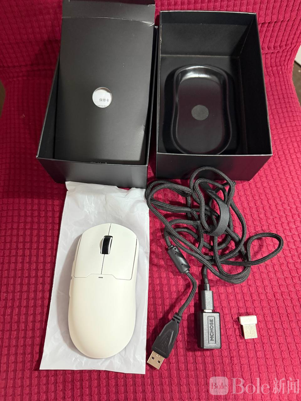 photo_2026-03-25 16.30.10.jpeg