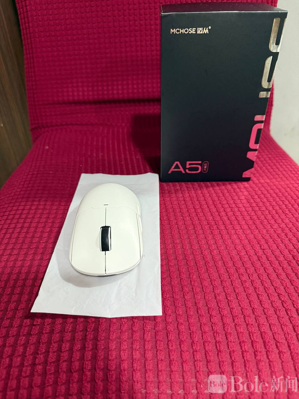 photo_2026-03-25 16.30.08.jpeg