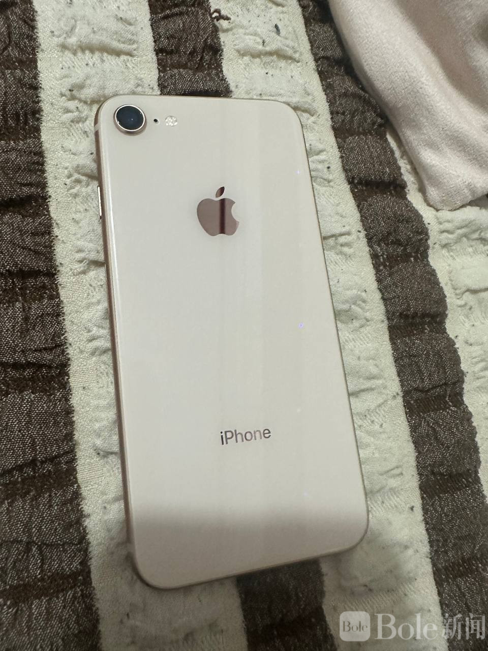 photo_2026-04-07 15.28.36.jpeg