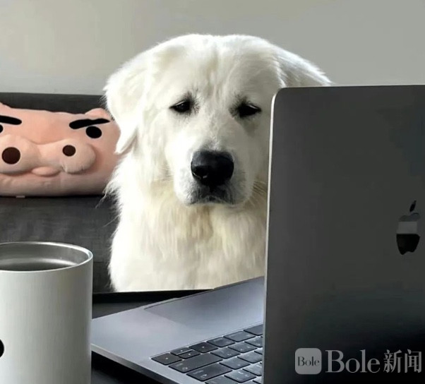 图像2026-4-8 13.32.jpeg