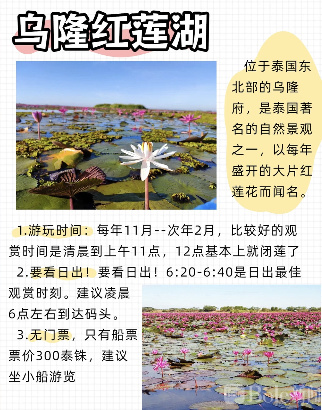 图像2026-4-20 20.19 (2).jpeg