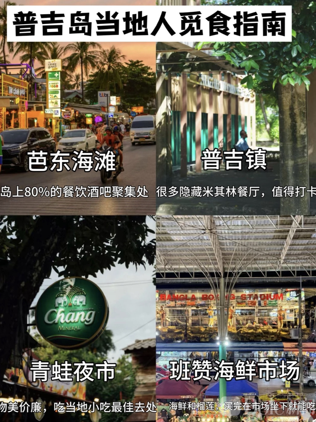 图像2026-5-11 16.31 (1).jpeg
