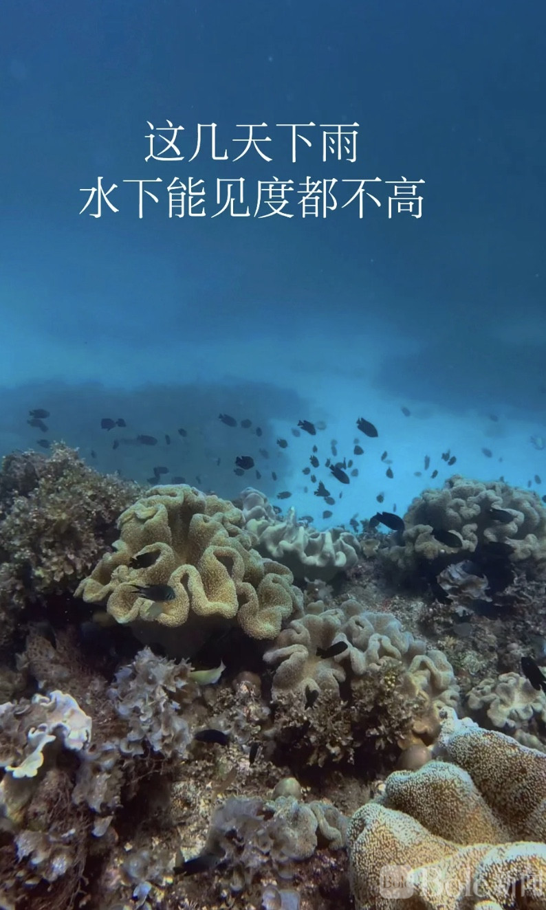 图像2026-6-23 12.26 (2).jpeg