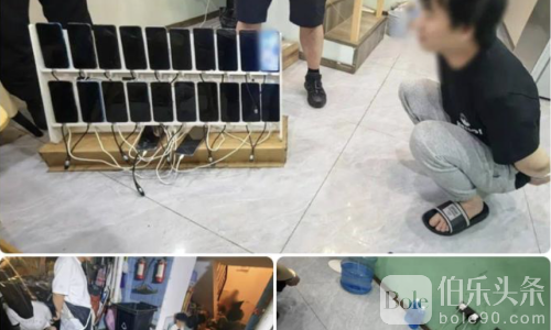 昆明打野团伙被端！11人涉电诈被抓，涉案金额超20万