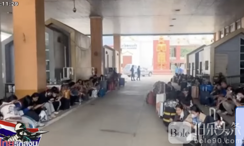 命都快没了还上班？园区照常营业，狗推不走真相曝光！