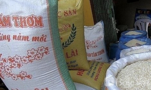 燃油成本冲击民生！菲律宾米价上涨电价预警同步拉响