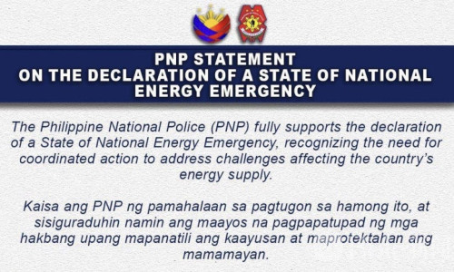 菲律宾全国警力进入高度戒备，应对能源紧急状态
